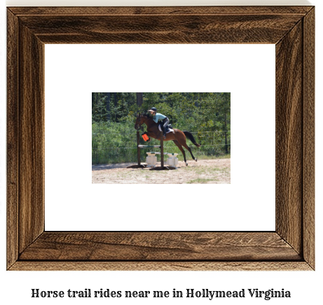 horse trail rides near me in Hollymead, Virginia